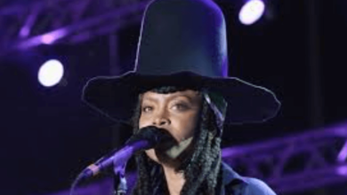 Erykah Badu Net Worth