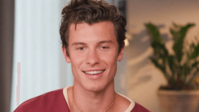 Shawn Mendes Net Worth