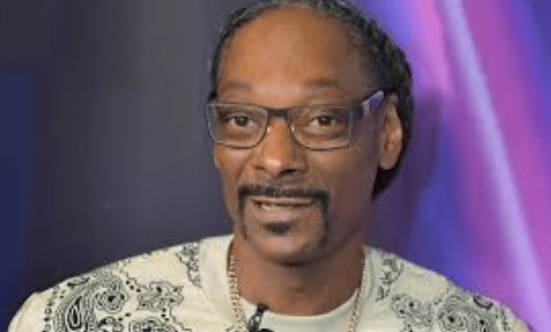 Chicken P Net Worth