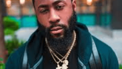 Stephiscold Net Worth