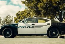 sanders law services overview