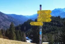 sunrise debt collector contact