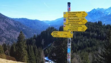 sunrise debt collector contact