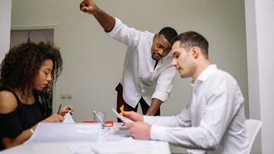 team structure and contributions